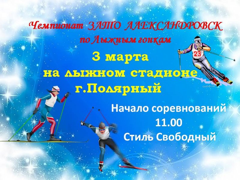 Чемпионат Александровска по лыжным гонкам