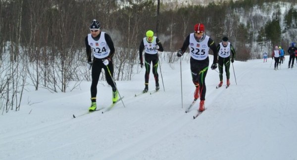 Результаты Чемпионата области
