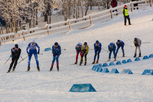 Результаты новогодней гонки